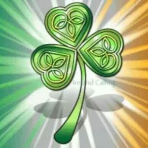 Meet your Posher, Owen